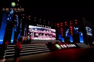 永鋒·百合新城璀璨亮相，龐龍獻唱引爆武城文化新篇章